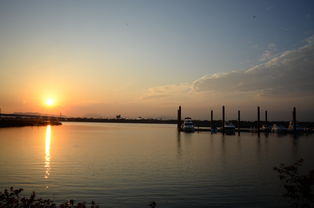 九游app下载中心-千帆竞发，轻艇马拉松点亮湖滨赛场，赛艇马拉松多少公里