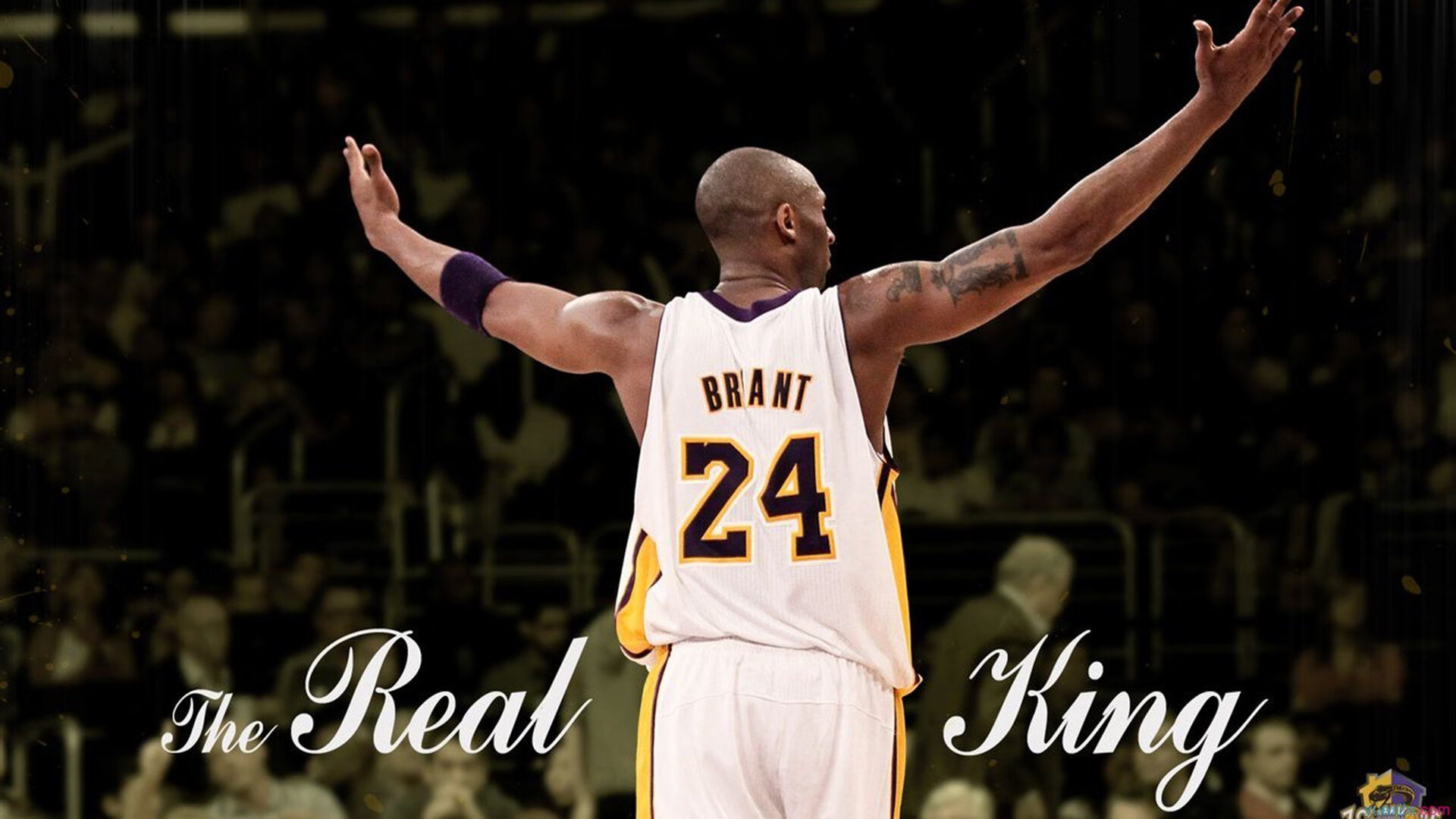 九游网游官网-万乐天赛场表现获教练高度评价，wanle万乐